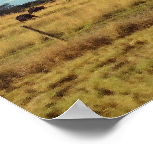 Florida Cattle Poster (Hoek)