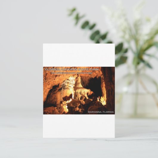 FLORIDA CAVERNS STATE PARK - Marianna, Florida Briefkaart (Staand voorkant)