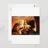 FLORIDA CAVERNS STATE PARK - Marianna, Florida Briefkaart (Voorkant / Achterkant)