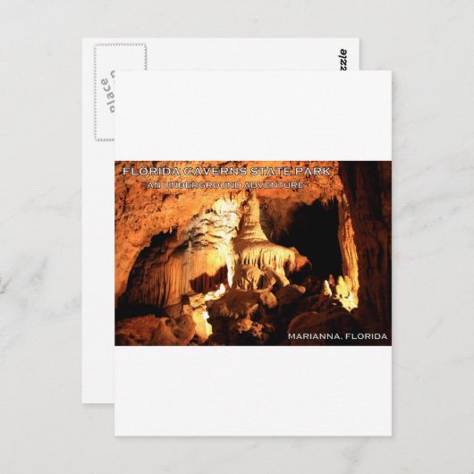 FLORIDA CAVERNS STATE PARK - Marianna, Florida Briefkaart (Voorkant / Achterkant)