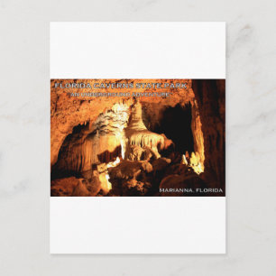 FLORIDA CAVERNS STATE PARK - Marianna, Florida Briefkaart