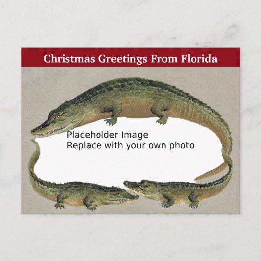  Florida Christmas Alligator Lijst Feestdagenkaart (Voorkant)