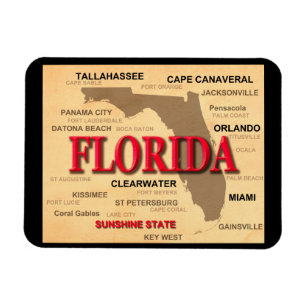 Florida Cities and Towns State Pride Map Magneet