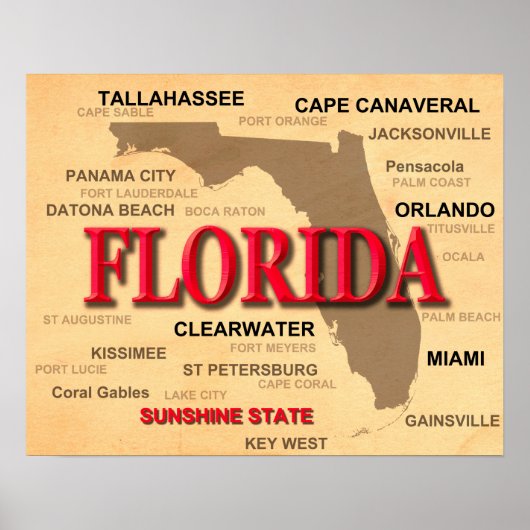 Florida Cities and Towns State Pride Map Poster (Voorkant)