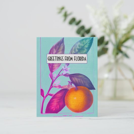 Florida Citrus Briefkaart (Staand voorkant)