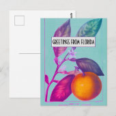 Florida Citrus Briefkaart (Voorkant / Achterkant)