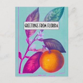 Florida Citrus Briefkaart