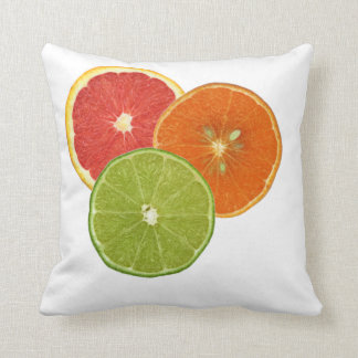 Florida Citrus Pillow Kussen