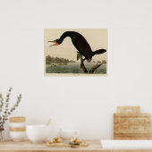 Florida Cormorant Poster (Keuken)