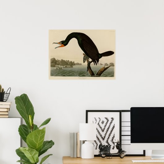 Florida Cormorant Poster (Thuiskantoor)