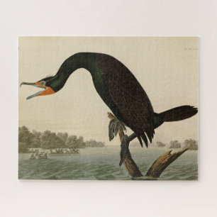 Florida Cormorant uit Audubon's Birds of America Legpuzzel