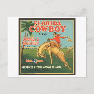 Florida Cowboy Kissimmee Citrus Growers  Cr Briefkaart