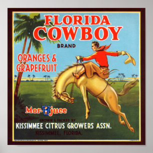 Florida Cowboy Poster