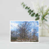 Florida Cypress Swamp Winter scene Briefkaart (Staand voorkant)