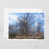 Florida Cypress Swamp Winter scene Briefkaart (Voorkant / Achterkant)