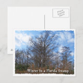 Florida Cypress Swamp Winter scene Briefkaart (Voorkant / Achterkant)