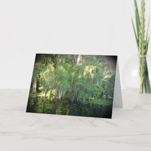 Florida Cypress Trees Note Kaart - Blank (Voorkant)