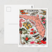 Florida de Everglade State Map Briefkaart (Voorkant / Achterkant)