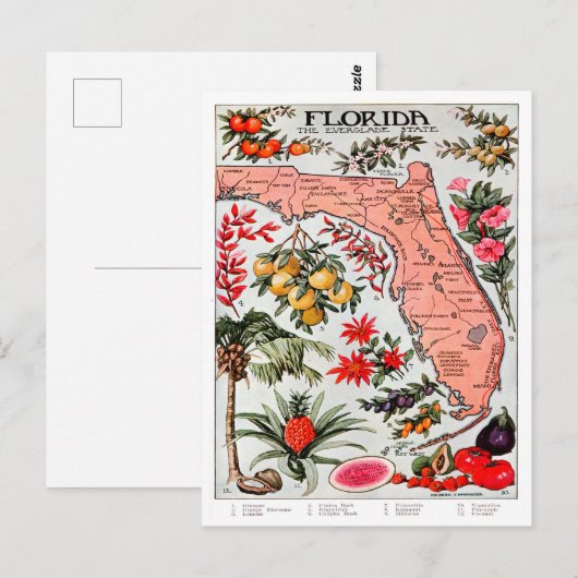 Florida de Everglade State Map Briefkaart (Voorkant / Achterkant)