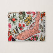 Florida de Everglade State Map Legpuzzel (Horizontaal)