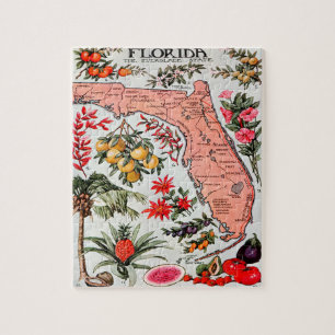 Florida de Everglade State Map Legpuzzel