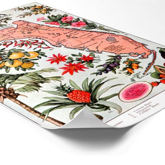 Florida de Everglade State Map Poster (Hoek)