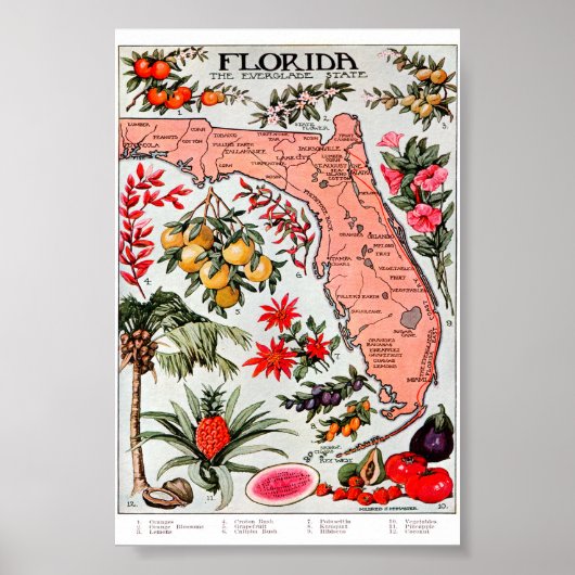 Florida de Everglade State Map Poster (Voorkant)