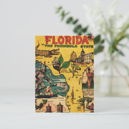 Florida De staat op het schiereiland Briefkaart (Staand voorkant)