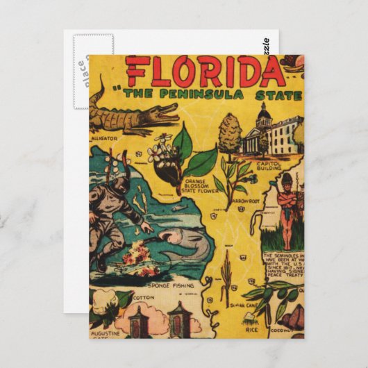 Florida De staat op het schiereiland Briefkaart (Voorkant / Achterkant)