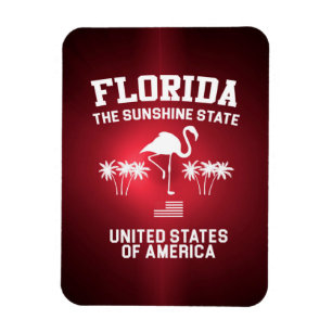 Florida De Sunshine State Magneet