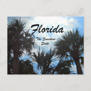 Florida, de Zonnestaat Briefkaart