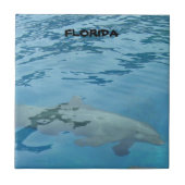 Florida Dolfijn Onderwater Oceaanscène Tegeltje (Voorkant)