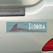 Florida Dolphin bumper sticker (Op auto)