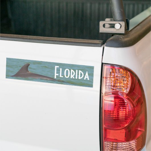 Florida Dolphin bumper sticker (Op Truck)