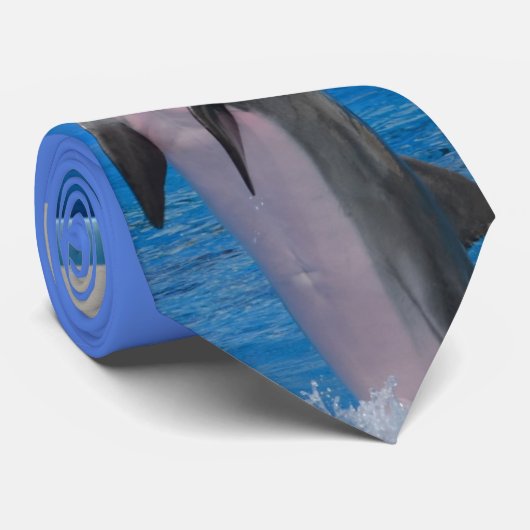 Florida Dolphin Stropdas (Opgerold)