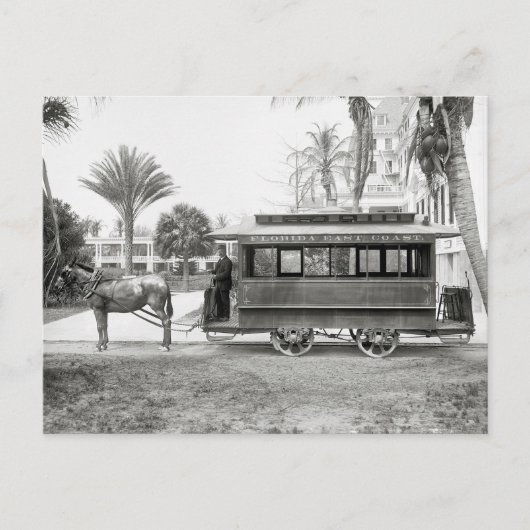 Florida East Coast Trolley, 1905 Briefkaart (Voorkant)
