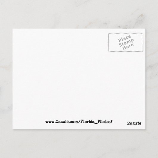 Florida: Een langzamer Briefkaart (Achterkant)
