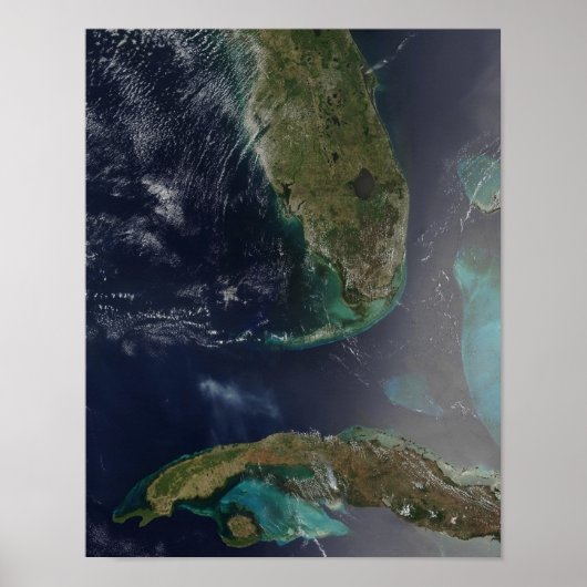 Florida en Cuba Poster (Voorkant)
