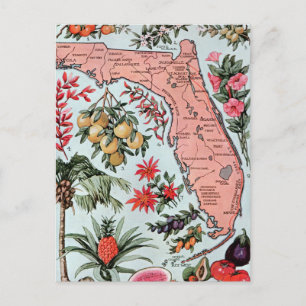 Florida Everglade State Fruit and Flowers Briefkaart