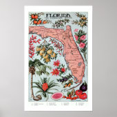Florida Everglade State Fruit and Flowers Poster (Voorkant)