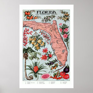  Florida Everglade State Fruit and Flowers Poster