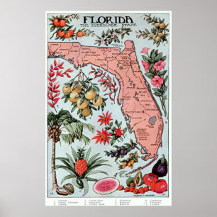  Florida Everglade State Fruit and Flowers Poster