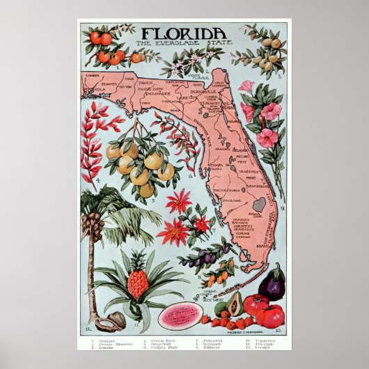  Florida Everglade State Fruit and Flowers Poster (Voorkant)