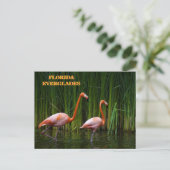 FLORIDA EVERGLADES BRIEFKAART (Staand voorkant)