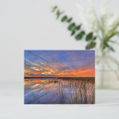 Florida Everglades Briefkaart (Staand voorkant)