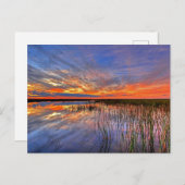 Florida Everglades Briefkaart (Voorkant / Achterkant)