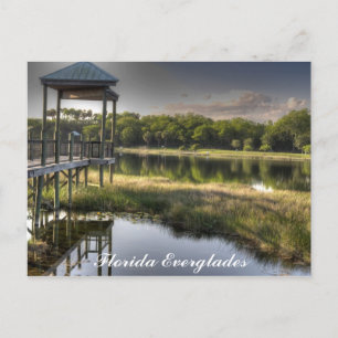 Florida Everglades Briefkaart