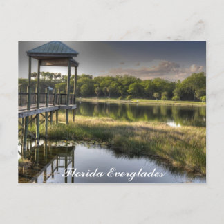 Florida Everglades Briefkaart