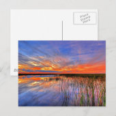 Florida Everglades Briefkaart (Voorkant / Achterkant)