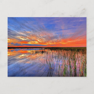Florida Everglades Briefkaart